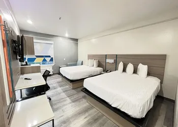 Sonesta Essential Hotel Houston-I-45 Spring hotel thumbnail 6