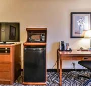 Comfort Inn & Suites Ambassador Bridge hotel detail image 5