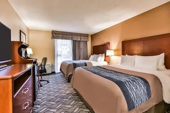 Comfort Inn & Suites Ambassador Bridge hotel detail image 6