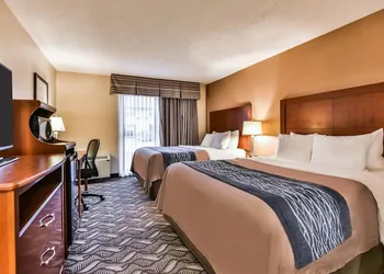 Comfort Inn & Suites Ambassador Bridge hotel thumbnail 6