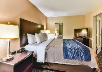 Comfort Inn & Suites Ambassador Bridge hotel thumbnail 8