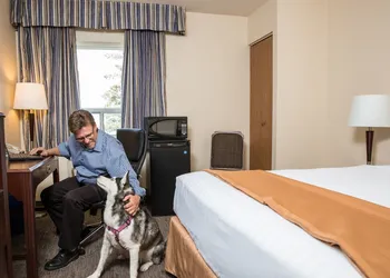 Travelodge by Wyndham Edmonton South hotel thumbnail 4