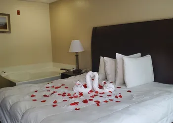 SureStay Hotel by Best Western North Myrtle Beach hotel thumbnail 5