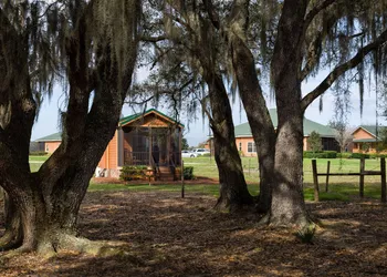Westgate River Ranch Resort & Rodeo hotel thumbnail 8