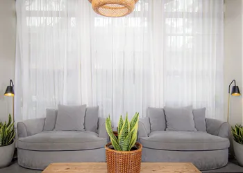 Ohia Waikiki Studio Suites hotel thumbnail 3