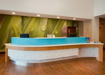 SpringHill Suites by Marriott Orlando Lake Buena Vista South hotel thumbnail 2