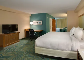 SpringHill Suites by Marriott Orlando Lake Buena Vista South hotel thumbnail 6