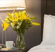 Hampton Inn by Hilton Ottawa Airport, ON, CN hotel detail image 3