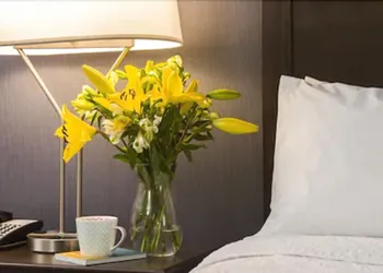 Hampton Inn by Hilton Ottawa Airport, ON, CN hotel thumbnail 3
