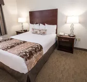 Best Western Plus Pembina Inn & Suites hotel detail image 7