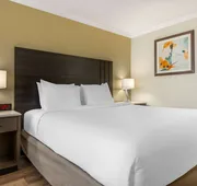 Best Western Plus Orange County Airport North hotel detail image 5