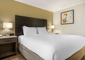 Best Western Plus Orange County Airport North hotel thumbnail 5