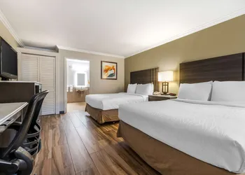 Best Western Plus Orange County Airport North hotel thumbnail 6