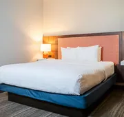 Hampton Inn Gonzales hotel detail image 3