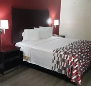 Red Roof Inn Kenner – New Orleans Airport NE hotel detail image 7