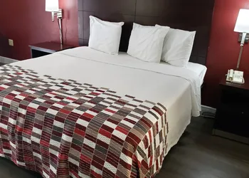 Red Roof Inn Kenner – New Orleans Airport NE hotel thumbnail 8