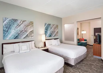 SpringHill Suites by Marriott Chicago Schaumburg/Woodfield hotel thumbnail 3