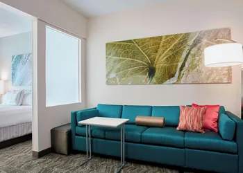SpringHill Suites by Marriott Chicago Schaumburg/Woodfield hotel thumbnail 4