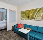 SpringHill Suites by Marriott Chicago Schaumburg/Woodfield hotel detail image 5