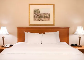 Hampton Inn & Suites Addison hotel thumbnail 4