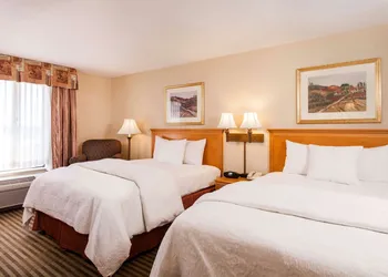 Hampton Inn & Suites Addison hotel thumbnail 5