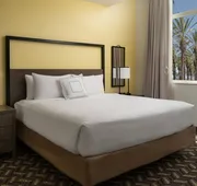 Residence Inn By Marriott Anaheim Resort Area hotel detail image 4