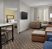 Residence Inn By Marriott Anaheim Resort Area hotel detail image 7