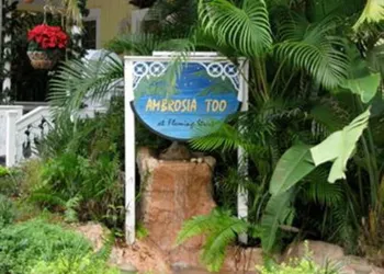 Ambrosia Key West hotel thumbnail 2