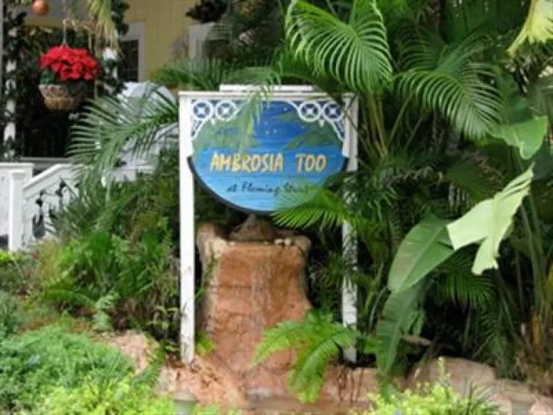 Ambrosia Key West hotel detail image 2