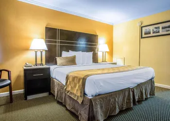 The Boards AC hotel thumbnail 6
