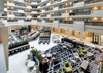 Embassy Suites by Hilton Atlanta Perimeter Center hotel thumbnail 6