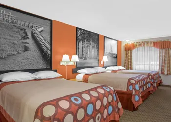 Super 8 by Wyndham Port Royal/Beaufort hotel thumbnail 8