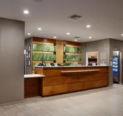 SpringHill Suites by Marriott Savannah Airport hotel detail image 3
