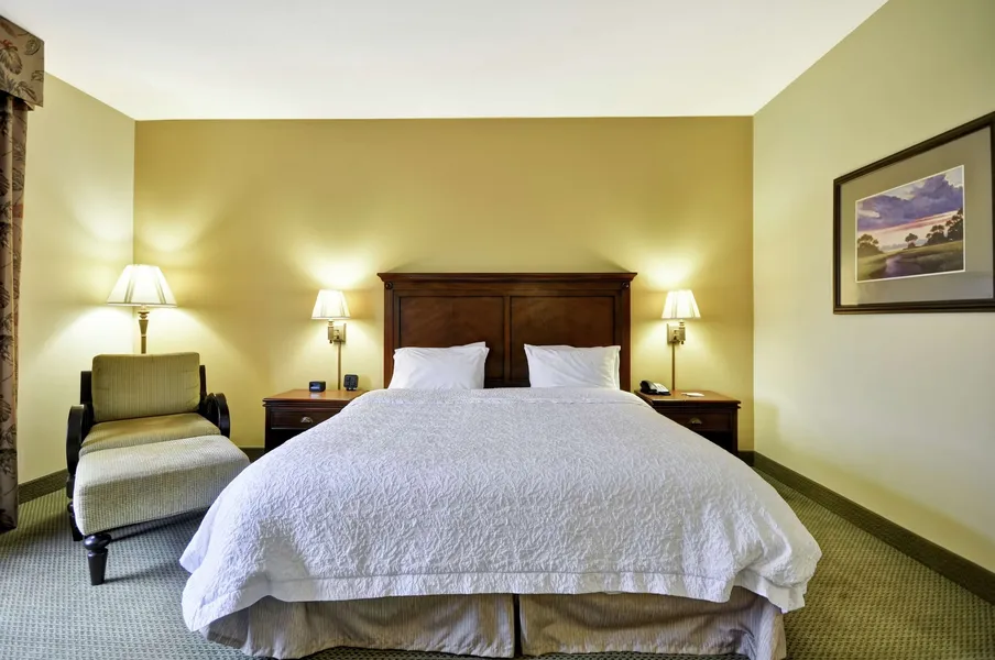 Hampton Inn & Suites North Charleston-University Blvd hotel detail image 6