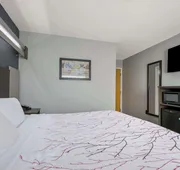 SureStay Plus Hotel by Best Western Sevierville hotel detail image 5