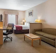 Comfort Inn & Suites Airport hotel detail image 4