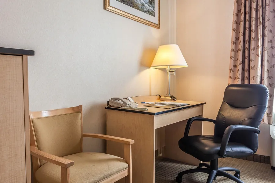 Comfort Inn & Suites Airport hotel detail image 6