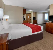 Comfort Inn Denver Southeast Area hotel detail image 7