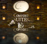 Comfort Suites Denver Tech Center hotel detail image 3