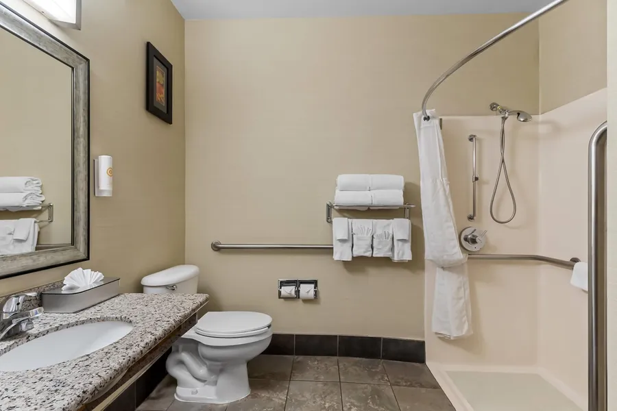 Comfort Suites Denver Tech Center hotel detail image 6