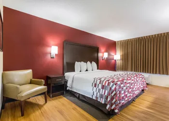 Red Roof Inn Cincinnati Airport–Florence/ Erlanger hotel thumbnail 6