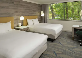 Hilton Durham near Duke University hotel thumbnail 6
