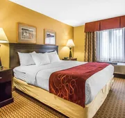Comfort Suites Wisconsin Dells Area hotel detail image 4