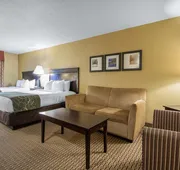 Comfort Suites Wisconsin Dells Area hotel detail image 7
