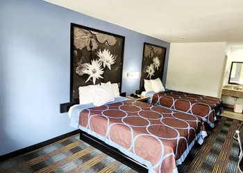 Super 8 by Wyndham Shreveport hotel thumbnail 4