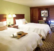 Hampton Inn Baton Rouge - I-10 & College Dr. hotel detail image 7