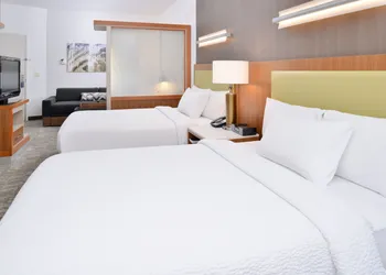 SpringHill Suites by Marriott Ashburn Dulles North hotel thumbnail 4