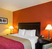 Comfort Inn & Suites Orange - Montpelier hotel detail image 7