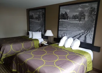 Super 8 by Wyndham Lexington/Hamburg Area hotel thumbnail 6