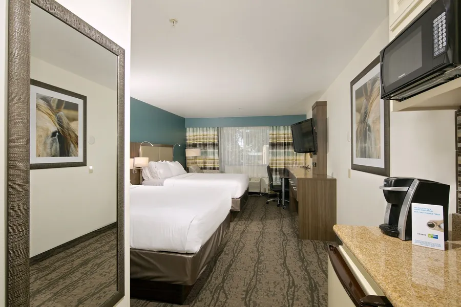 Holiday Inn Express & Suites Paso Robles by IHG hotel detail image 6